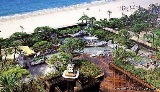 Rio Roiss Hotel Rio de Janeiro Eksteriør billede
